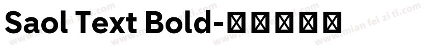 Saol Text Bold字体转换